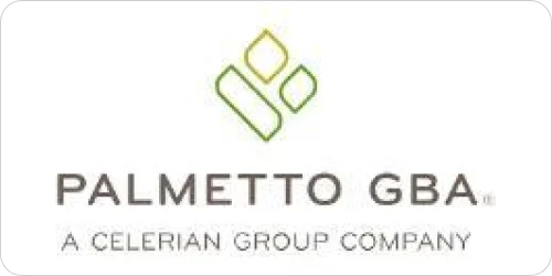 Palmetto GBA