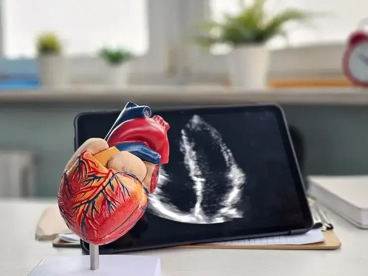 Anatomical heart model next to a tablet displaying cardiac imaging at Woodlands Heart & Vascular Institute